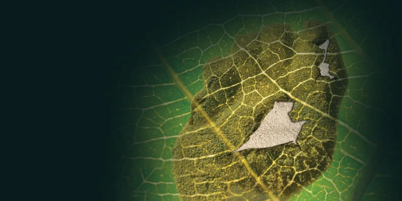 Hero background
