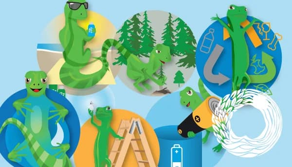 Código de usos y costumbres