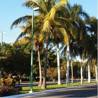 Tourism services