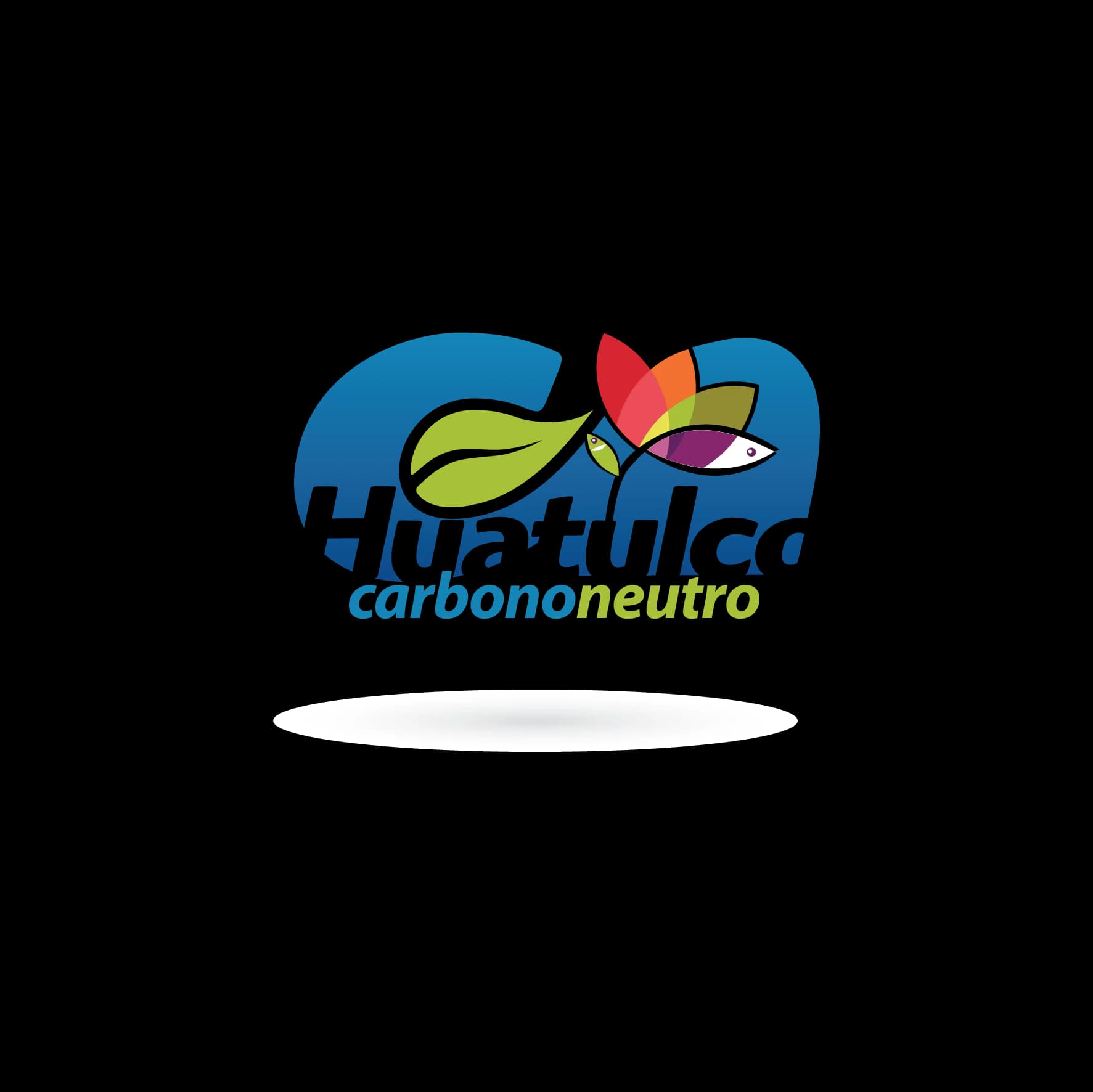 paso 3